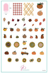 Patterned Pumpkins (CjS-220) - Clear Jelly Stamping Plate