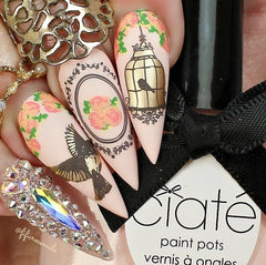 Suzie's Victorian Plate (CjS LC-45) - Clear Jelly Stamping Plate