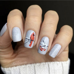 Mistletoe Wishes (CjS C-47) - Clear Jelly Stamping Plate