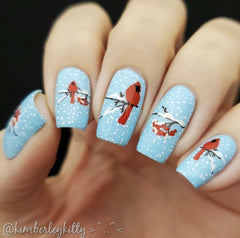 Mistletoe Wishes (CjS C-47) - Clear Jelly Stamping Plate