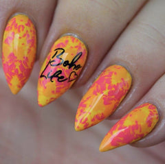 Boho Life (CjS 115) - Clear Jelly Stamping Plate