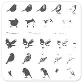 Itty Bitty Birds (CjS-30) - CJS Small Stamping Plate