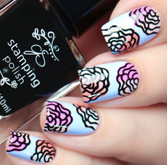 Oopsie Daisy! (CjS-66)- CJS Small Stamping Plate