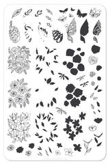 Peacocks Garden (CjS-37) - Clear Jelly Stamping Plate
