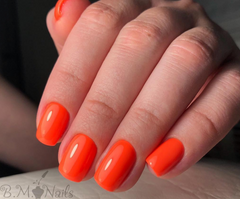 Scoundrel - Akzentz Luxio, 15ml/0.5oz