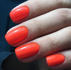 Scoundrel - Akzentz Luxio, 15ml/0.5oz