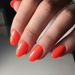 Scoundrel - Akzentz Luxio, 15ml/0.5oz