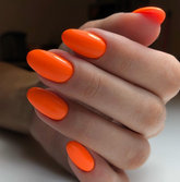 Shock - Akzentz Luxio, 15ml/0.5oz