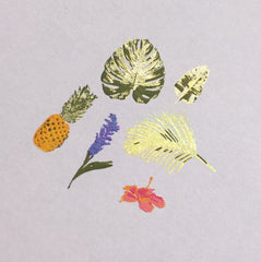 Tropical (CjS-38) - Clear Jelly Stamping Plate