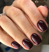 Vamp - Akzentz Luxio, 15ml/0.5oz