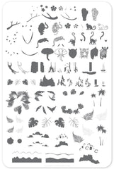 Suzie's Welcome to the Jungle (CjS LC-34) - Clear Jelly Stamping Plate