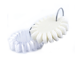 Color Wheel Set - 160 Tips on Wheels on a Ring