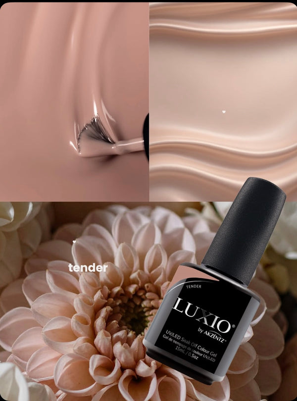 Tender - Akzentz Luxio