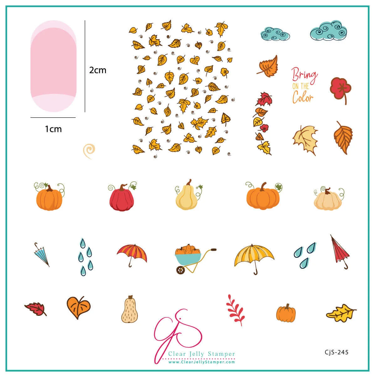 Bring on the Color (CjS-245) Etched Nail Art Stamping Plate - Medium Clear Jelly Stamping Plate Main image