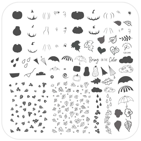 Bring on the Color (CjS-245) Etched Nail Art Stamping Plate - Medium Clear Jelly Stamping Plate