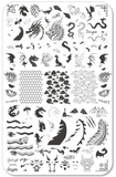 Dragon Love (CjS-347) -  Clear Jelly Stamping Plate