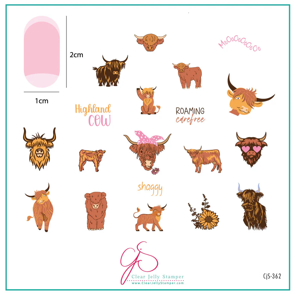 Highland Cow (CjS-362) -  CJS Medium Stamping Plate Main image
