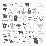 Highland Cow (CjS-362) -  CJS Medium Stamping Plate