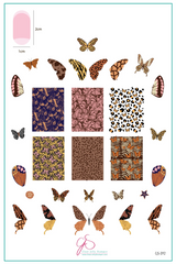 Wild Wings (CjS-392) Etched Nail Art Stamping Plate - Clear Jelly Stamping Plate