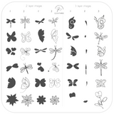 Dragonflies & Butterflies "Beginner Edition"  (CjS-B-THREE) -  CJS Medium Stamping Plate