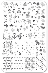 Pretty Clover (CjSH-105) - Clear Jelly Stamping Plate