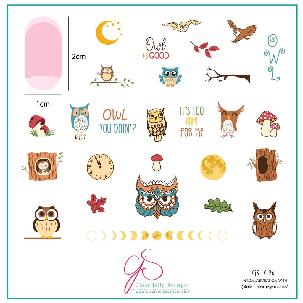 Owl is Good (CjSLC-96)  Medium Steel Nail Art Stamping Plate