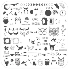 Owl is Good (CjSLC-96)  Medium Steel Nail Art Stamping Plate