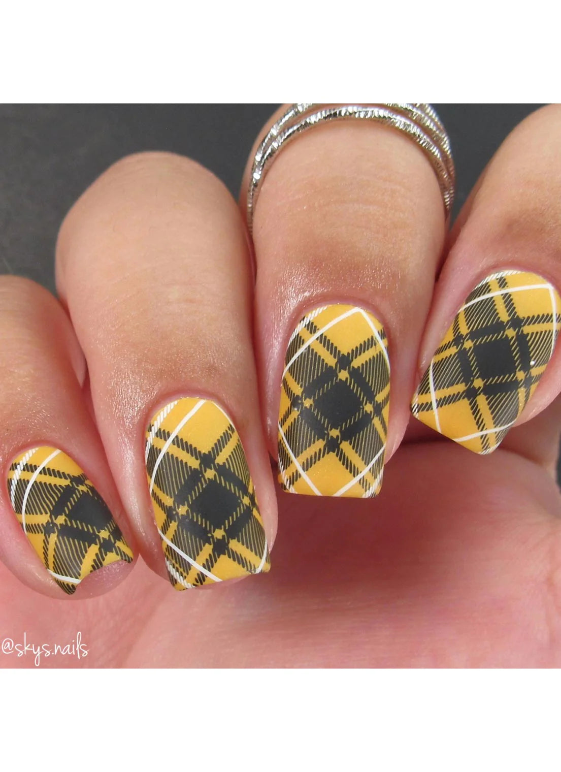 Pretty In Plaid 4 - Uber Chic Stamping Plate