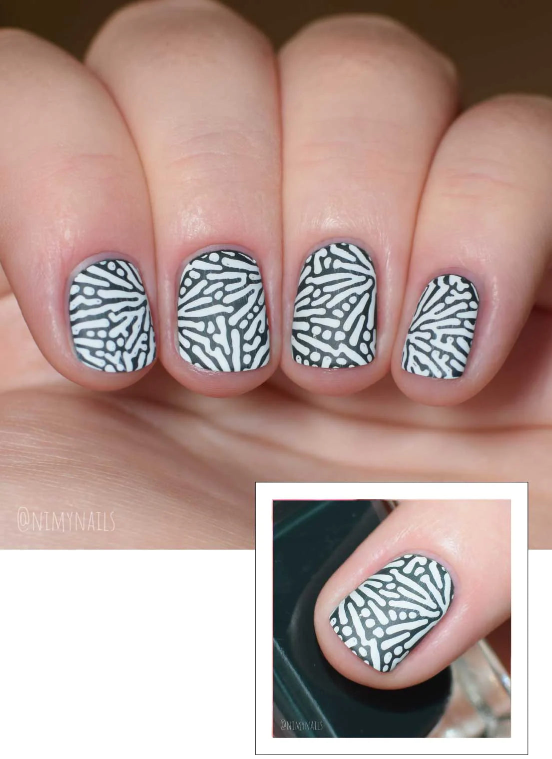 Just for Claws 2 - Uber Chic Stamping Plate Collection of 3