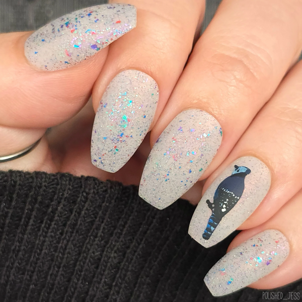 Talk Birdy To Me (CjSLC-103)  - Etched Nail Art Stamping Plate - Clear Jelly Stamping Plate