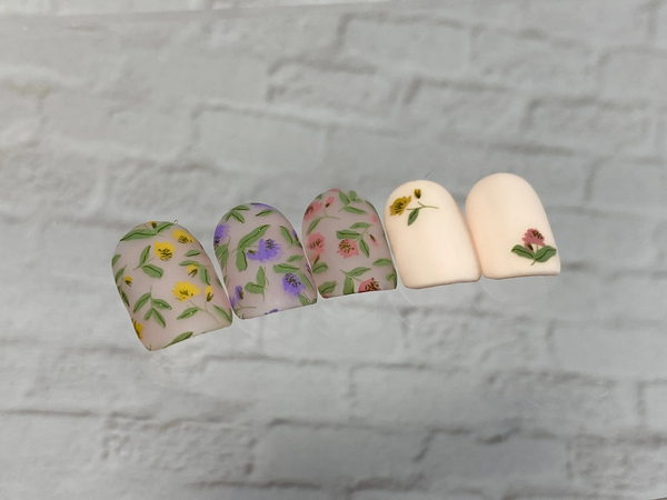 Petals in Pattern (CjS-409)  - Etched Nail Art Stamping Plate - Clear Jelly Stamping Plate