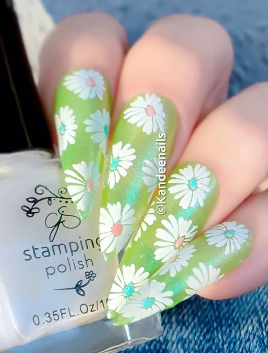 Crazy for Daisies (CjS-385) - Clear Jelly Stamping Plate
