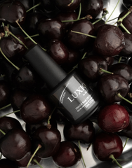 Nocturne FULL SIZE Collection - Studio 14 - Akzentz Luxio, 15ml/0.5oz