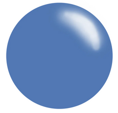 Enchanted  - Stamping Polish Kit (5 Colors)