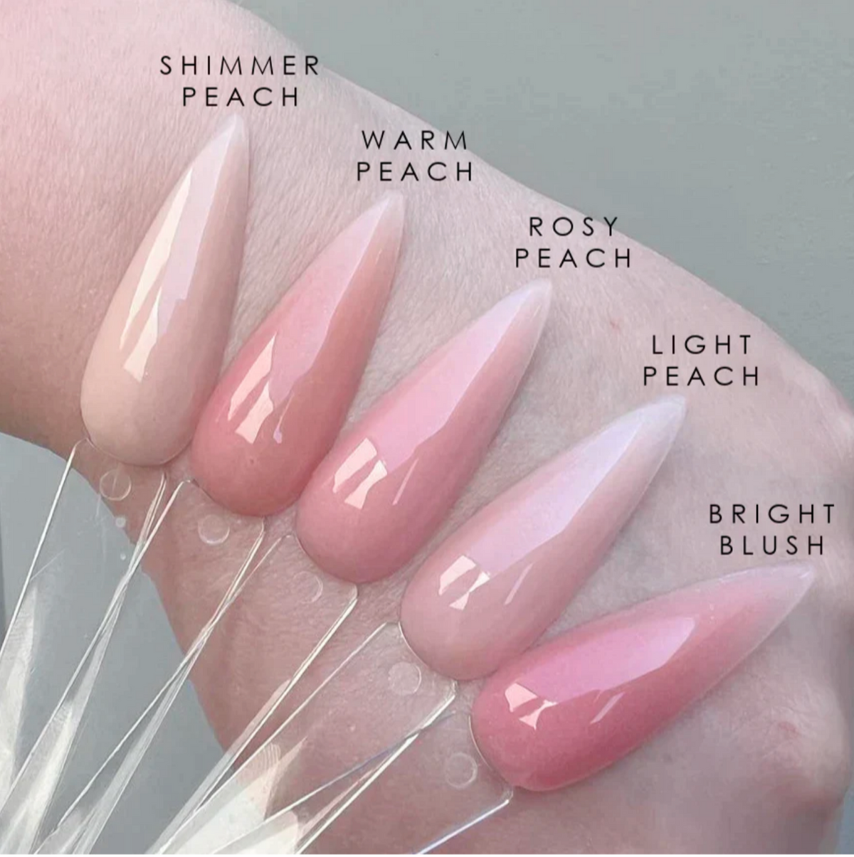 WARM BEIGE Premium Acrylic Powder Main image