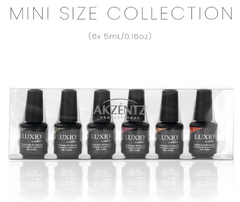 Late Checkout Mini Collection - Akzentz Luxio