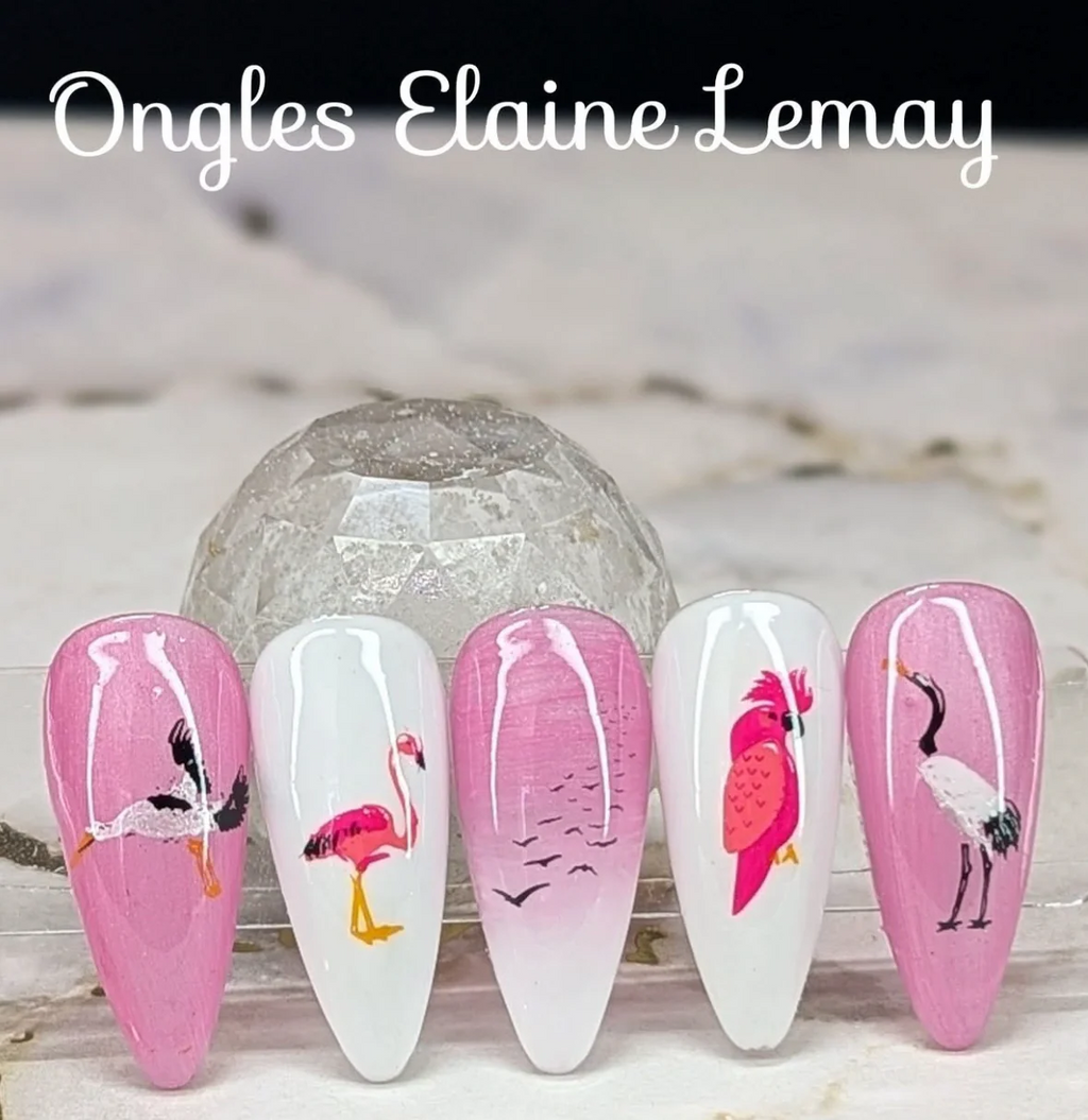 Talk Birdy To Me (CjSLC-103)  - Etched Nail Art Stamping Plate - Clear Jelly Stamping Plate