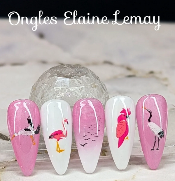 Talk Birdy To Me (CjSLC-103)  - Etched Nail Art Stamping Plate - Clear Jelly Stamping Plate