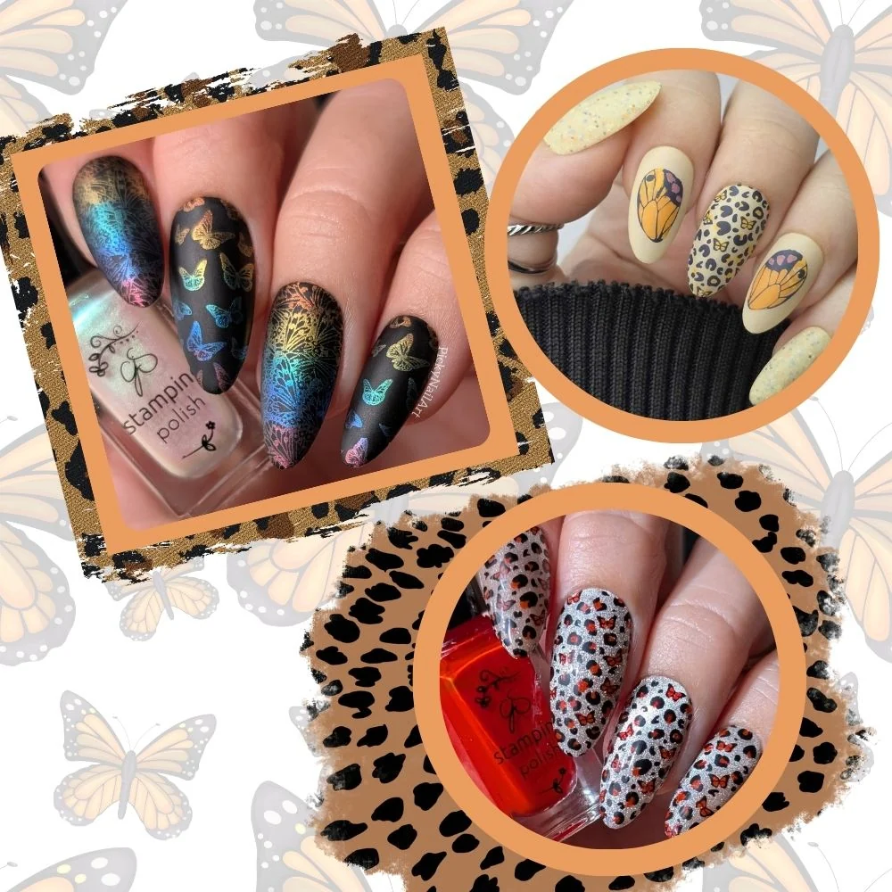 Wild Wings (CjS-392) Etched Nail Art Stamping Plate - Clear Jelly Stamping Plate