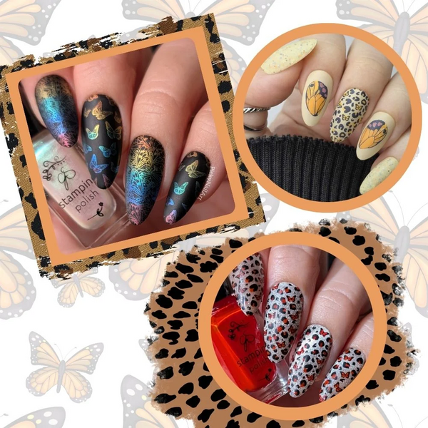 Wild Wings (CjS-392) Etched Nail Art Stamping Plate - Clear Jelly Stamping Plate