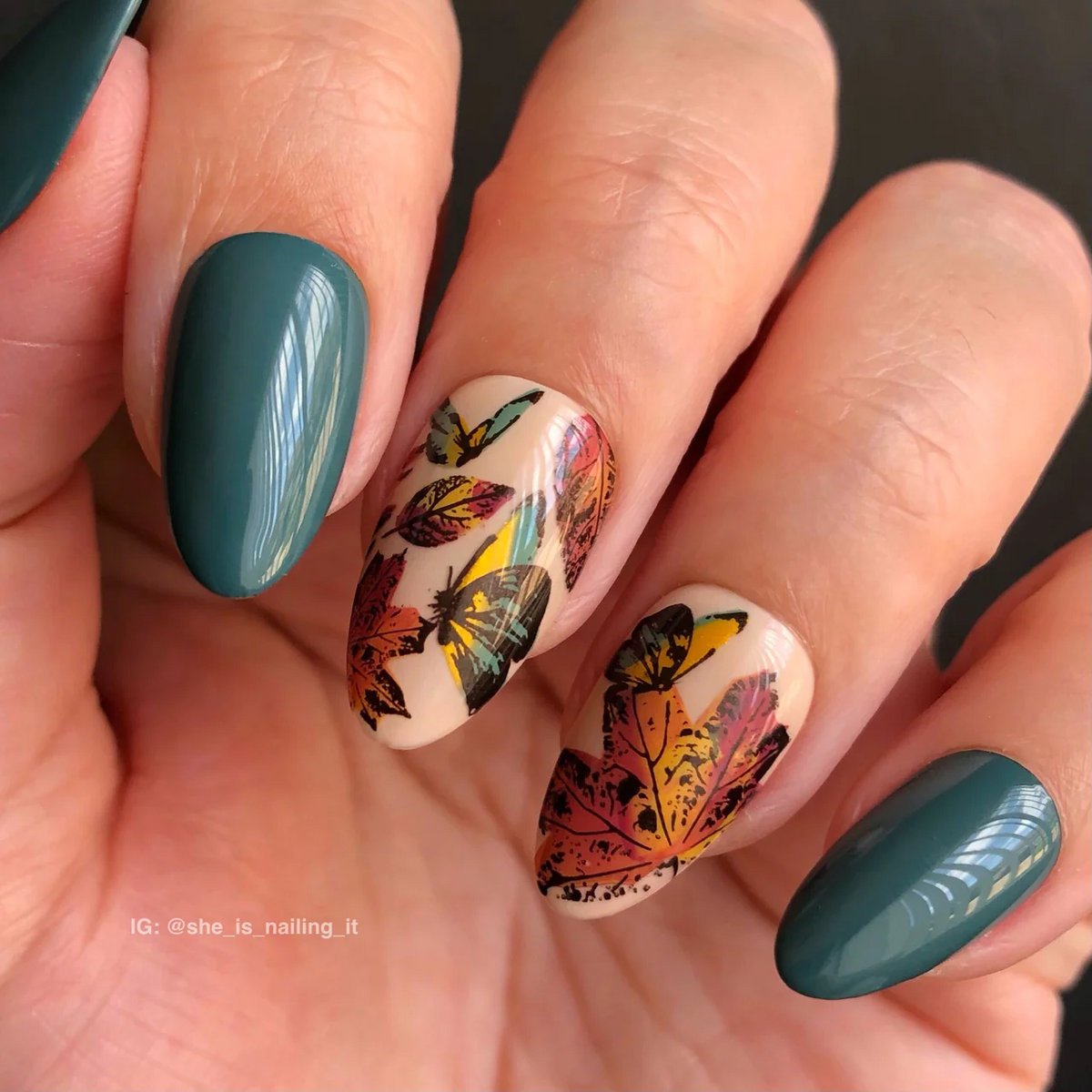 Graceful leaves (CjS-318) - Clear Jelly Stamping Plate