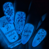 Perfectly Imperfect (CjS-328) - Clear Jelly Stamping Plate