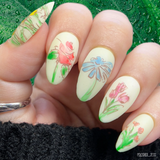 Simple & Pure Flowers (CjS-344) -  Clear Jelly Stamping Plate