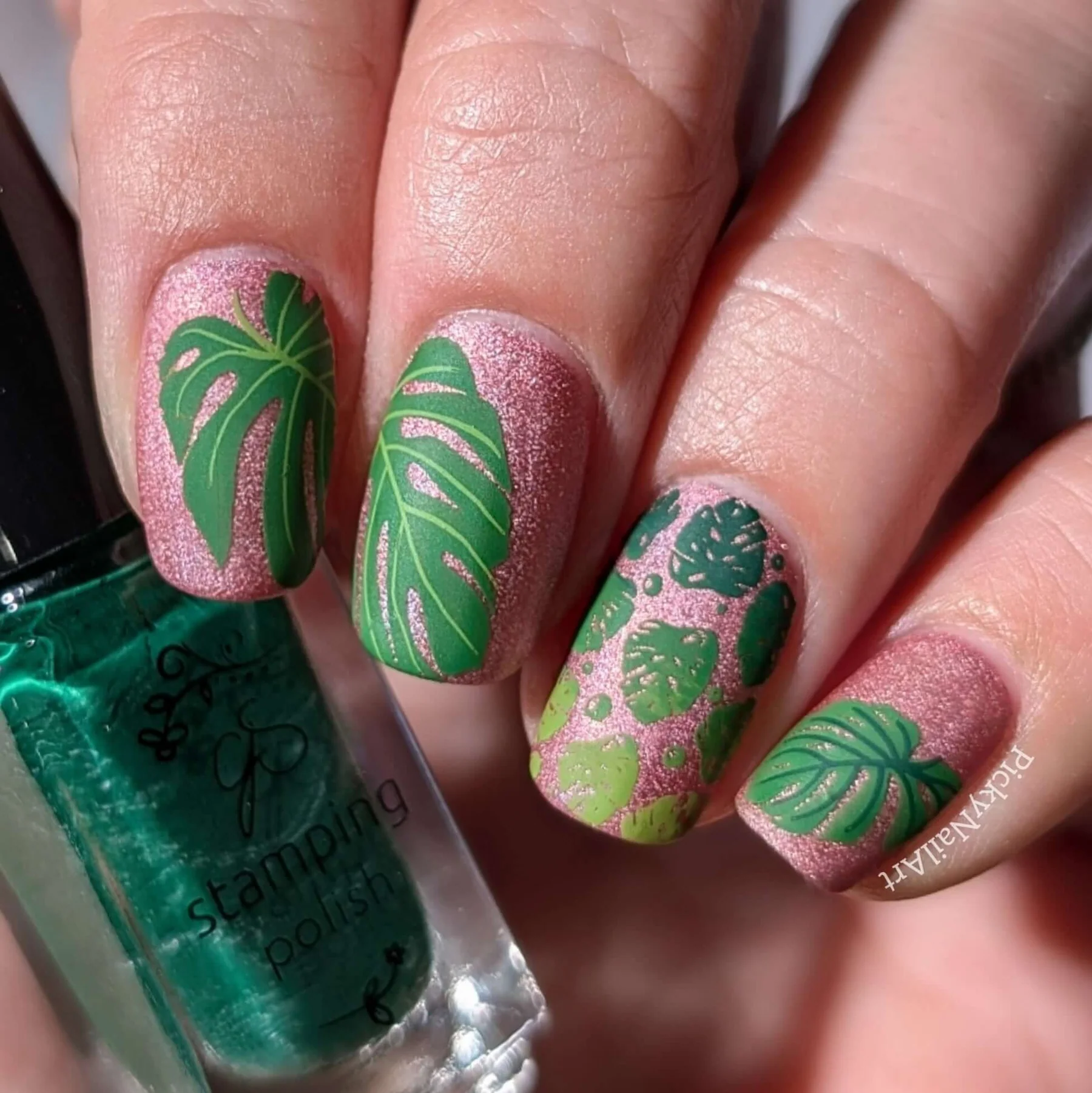 Lush Leaves (CJS-357)- Clear Jelly Stamping Plate