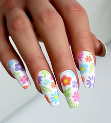 Bloom Baby Bloom (CjS-379)