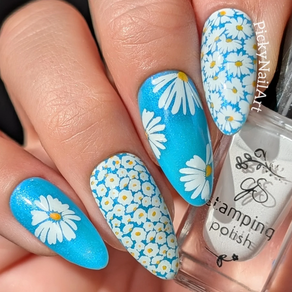 Crazy for Daisies (CjS-385) - Clear Jelly Stamping Plate
