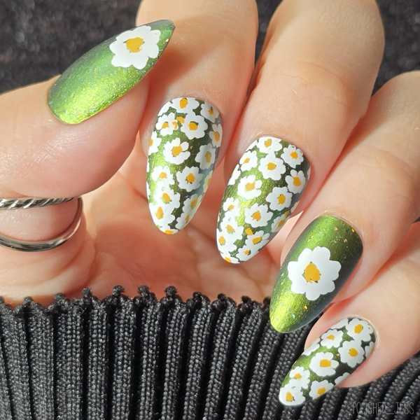 Crazy for Daisies (CjS-385) - Clear Jelly Stamping Plate