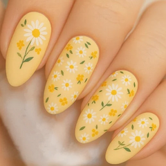 Crazy for Daisies (CjS-385) - Clear Jelly Stamping Plate