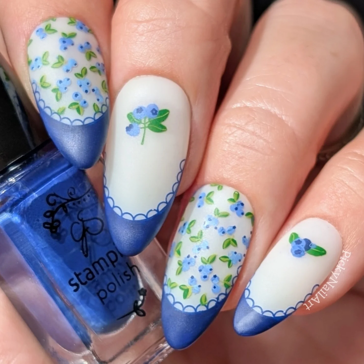 Frilly Fruit (CjS-390) - Clear Jelly Stamping Plate