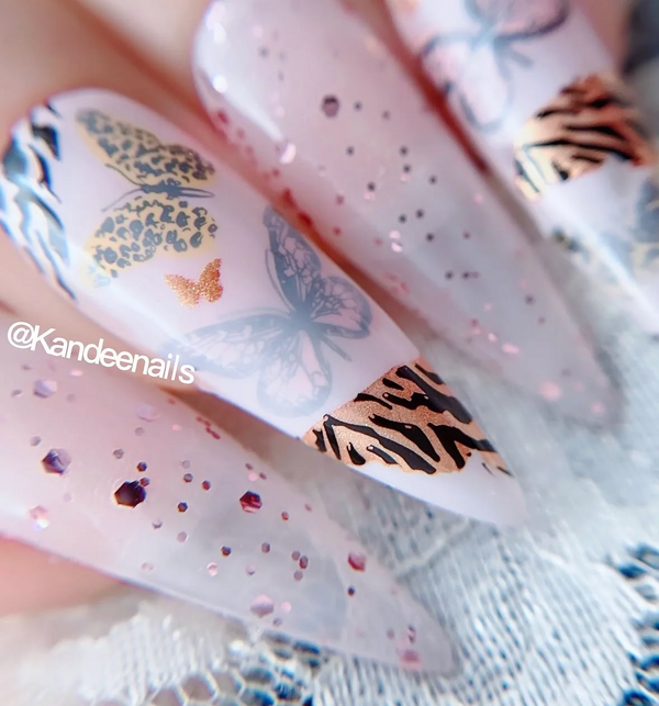 Wild Wings (CjS-392) Etched Nail Art Stamping Plate - Clear Jelly Stamping Plate